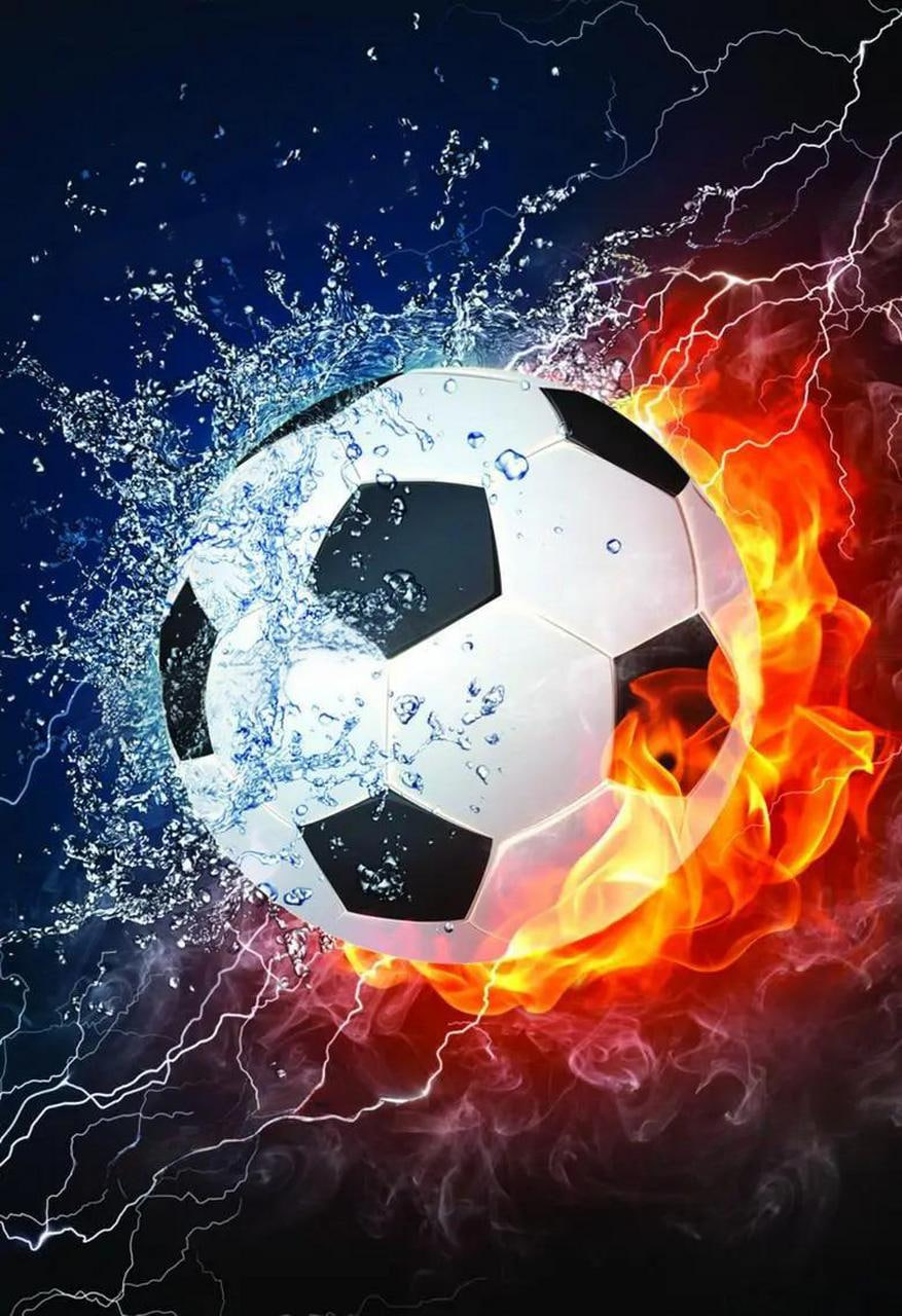 学生群体免费观看体育赛事